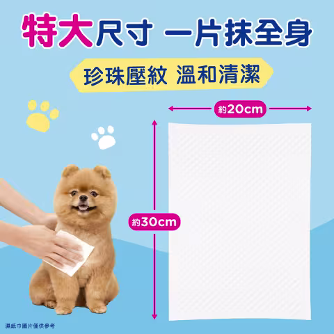 [原箱12包] 寵物純水濕紙巾 40片裝